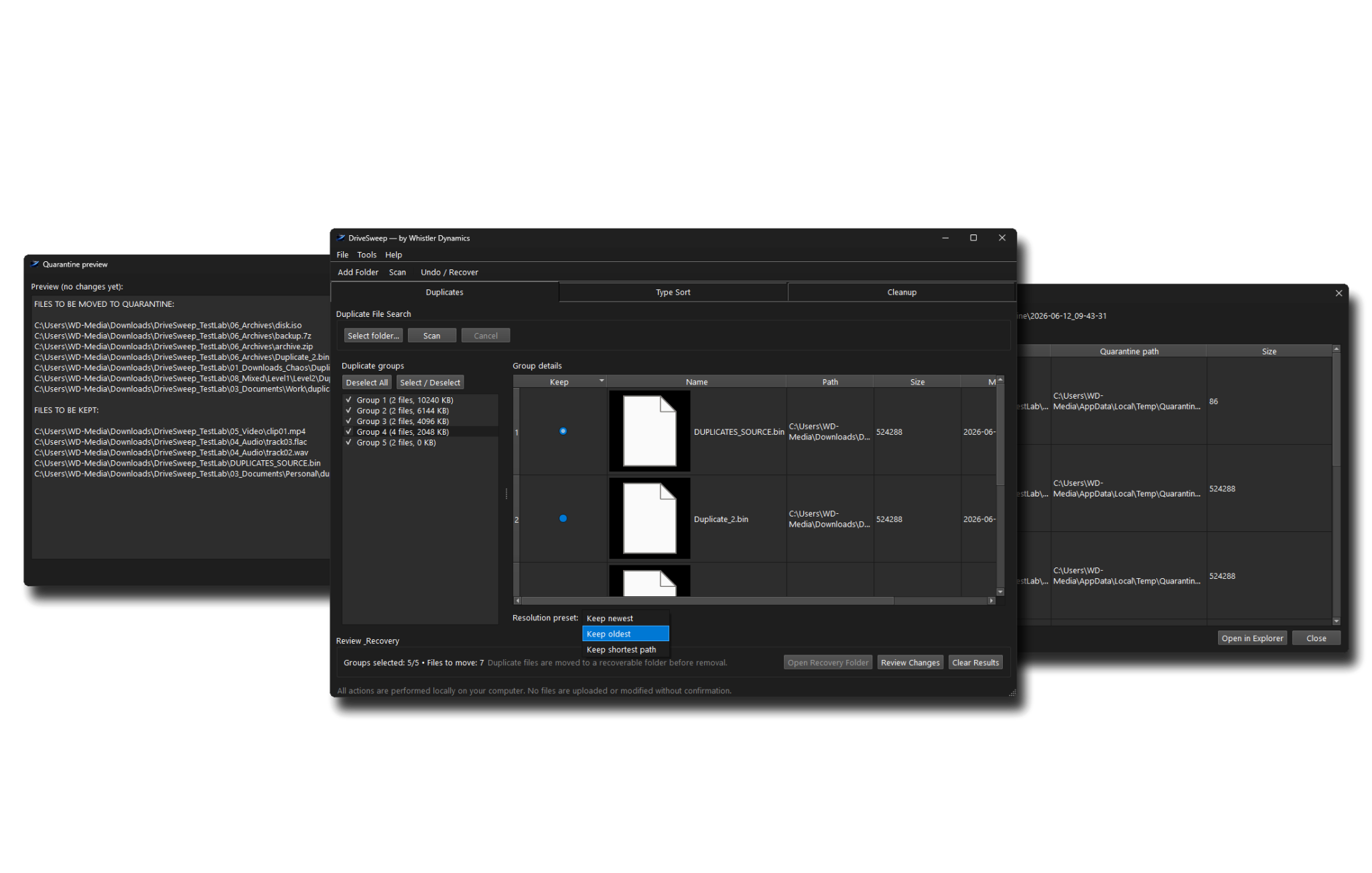 DriveSweep Duplicate Review preview